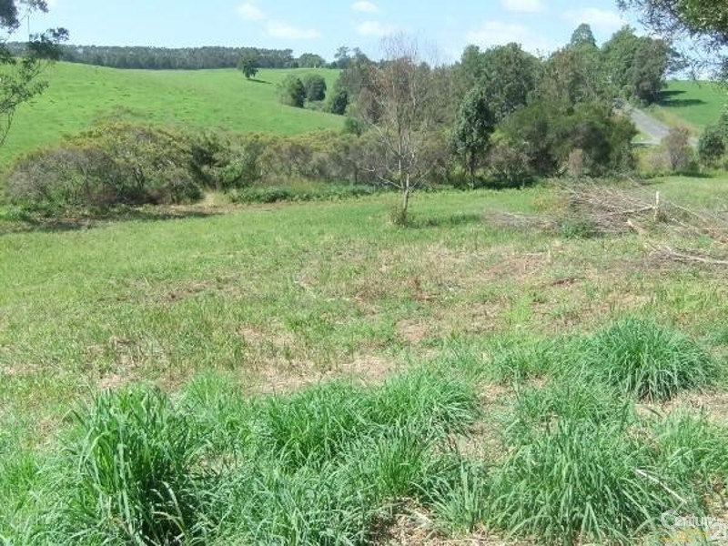 238 Bellingen Road, Bowraville NSW 2449