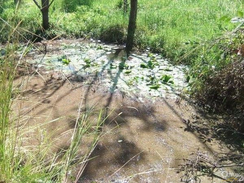 238 Bellingen Road, Bowraville NSW 2449