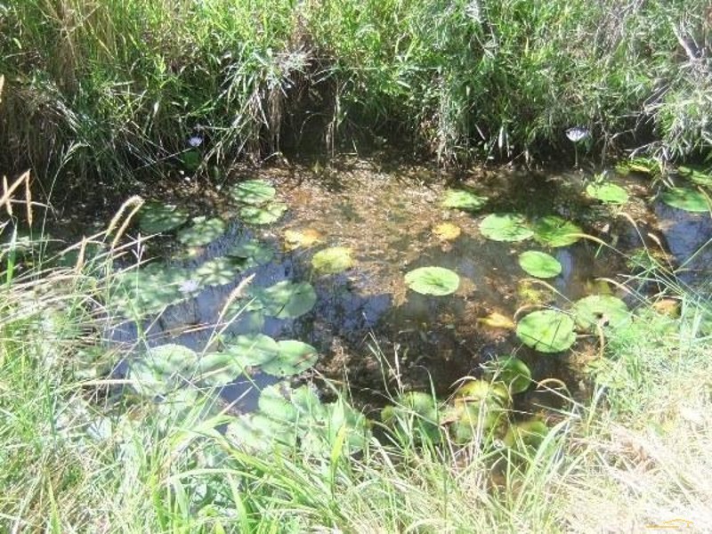 238 Bellingen Road, Bowraville NSW 2449