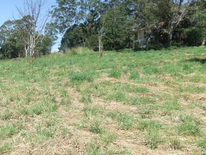 238 Bellingen Road, Bowraville NSW 2449