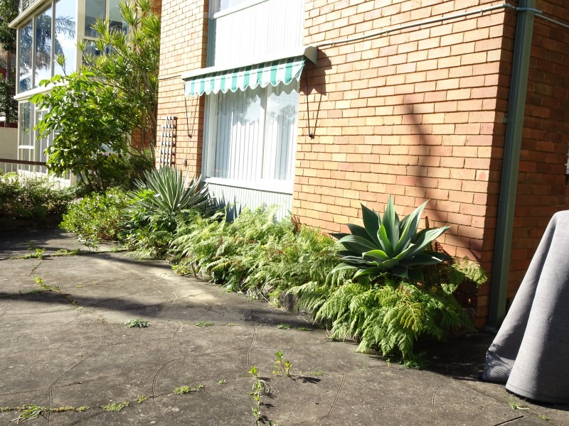 7/13 Tonkin Street, Cronulla NSW 2230