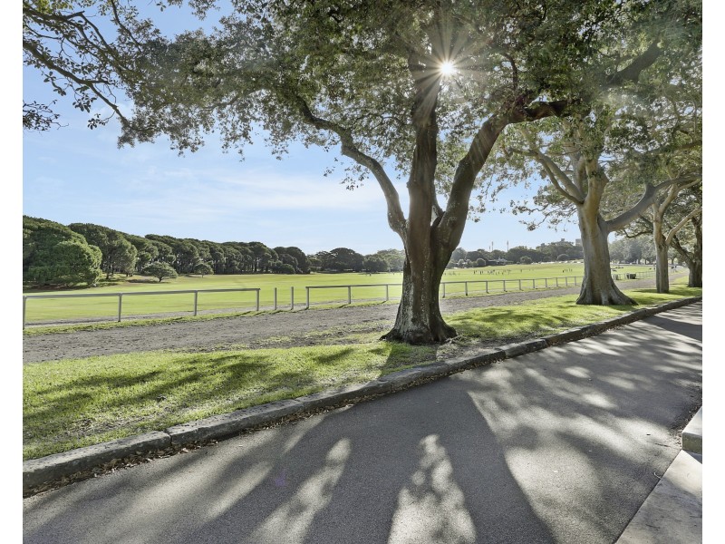 240/60 Cook Road, Centennial Park NSW 2021