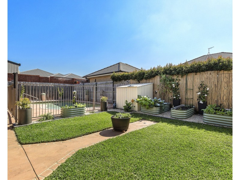 3 Camellia Street, Pitt Town NSW 2756