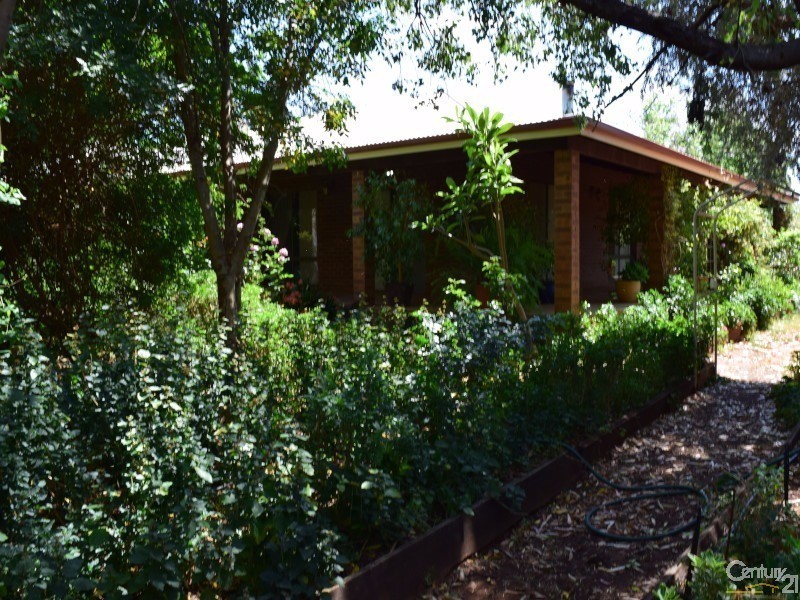 3099 “Glenwarrie” The Tullamore / Narromine Road, Peak Hill NSW 2869