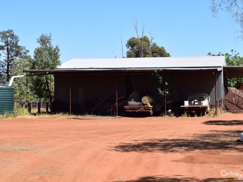 3099 “Glenwarrie” The Tullamore / Narromine Road, Peak Hill NSW 2869