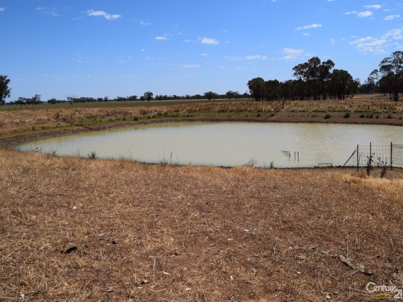 3099 “Glenwarrie” The Tullamore / Narromine Road, Peak Hill NSW 2869