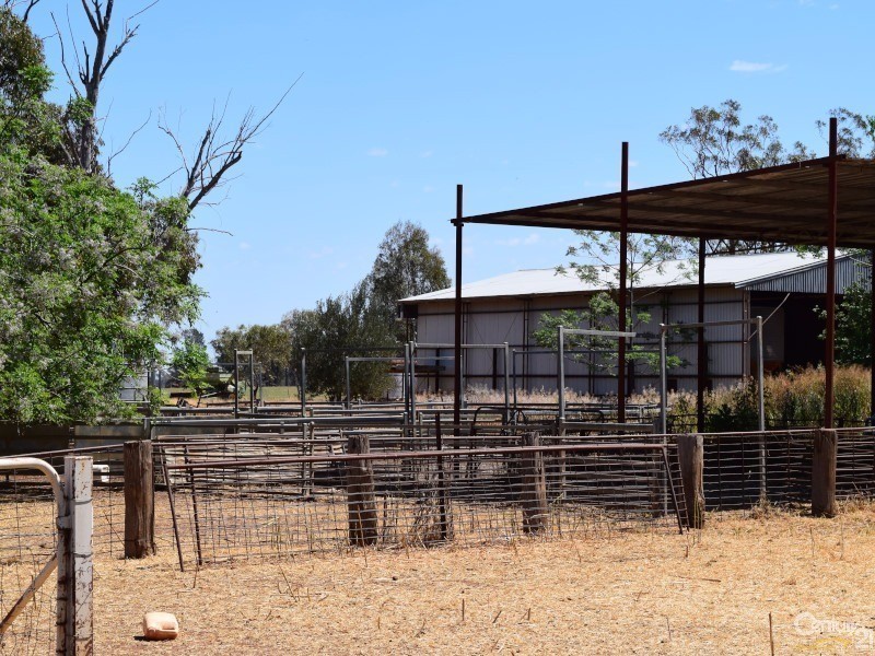 3099 “Glenwarrie” The Tullamore / Narromine Road, Peak Hill NSW 2869