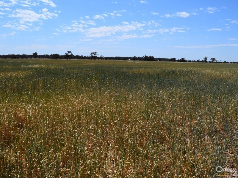 3099 “Glenwarrie” The Tullamore / Narromine Road, Peak Hill NSW 2869