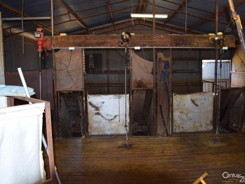 3099 “Glenwarrie” The Tullamore / Narromine Road, Peak Hill NSW 2869