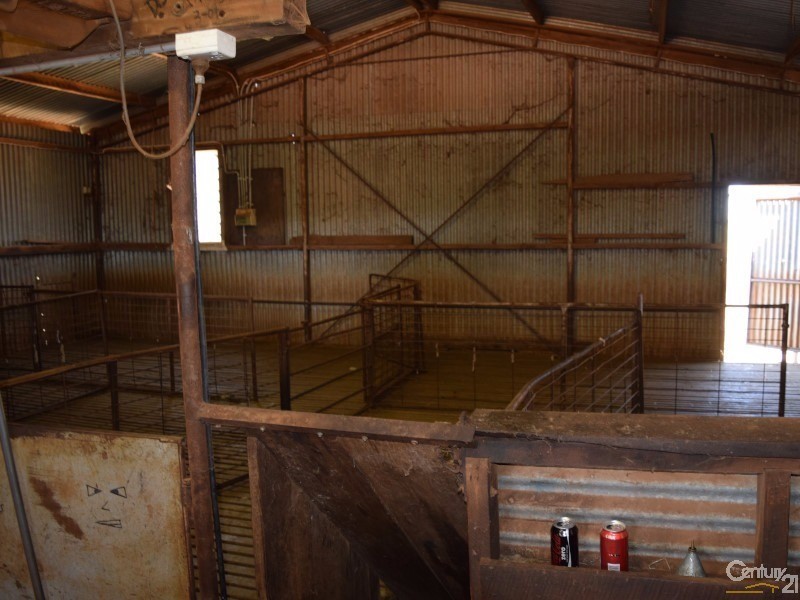 3099 “Glenwarrie” The Tullamore / Narromine Road, Peak Hill NSW 2869