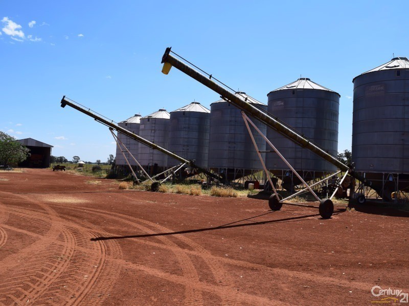 3099 “Glenwarrie” The Tullamore / Narromine Road, Peak Hill NSW 2869