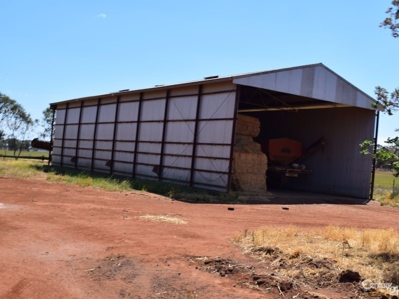 3099 “Glenwarrie” The Tullamore / Narromine Road, Peak Hill NSW 2869