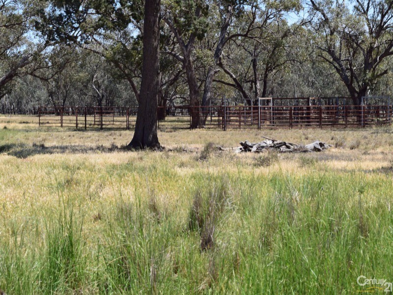 3099 “Glenwarrie” The Tullamore / Narromine Road, Peak Hill NSW 2869