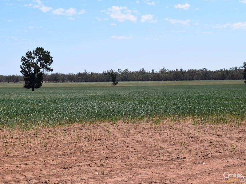 3099 “Glenwarrie” The Tullamore / Narromine Road, Peak Hill NSW 2869