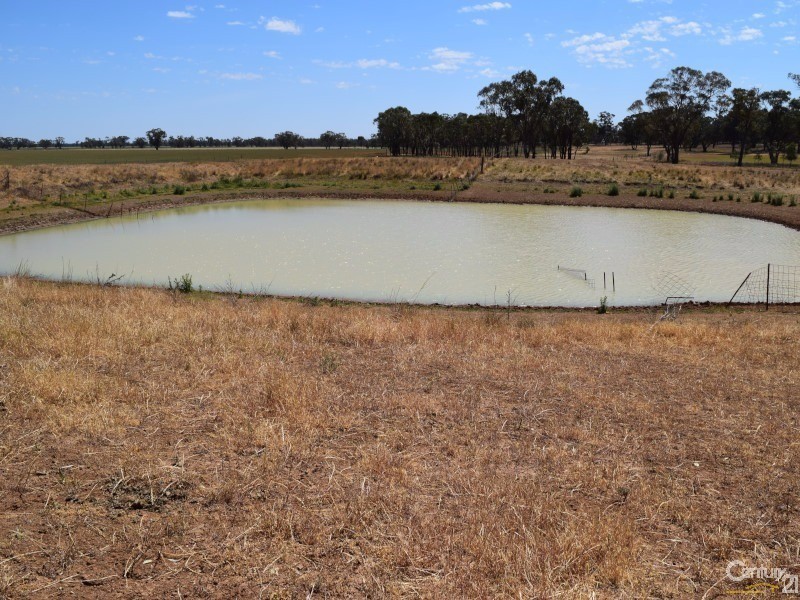 3099 “Glenwarrie” The Tullamore / Narromine Road, Peak Hill NSW 2869