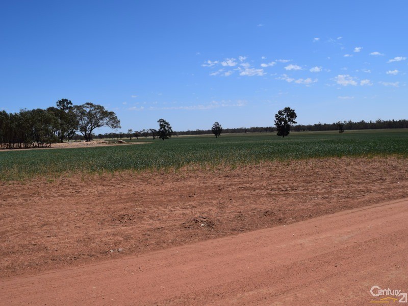 3099 “Glenwarrie” The Tullamore / Narromine Road, Peak Hill NSW 2869