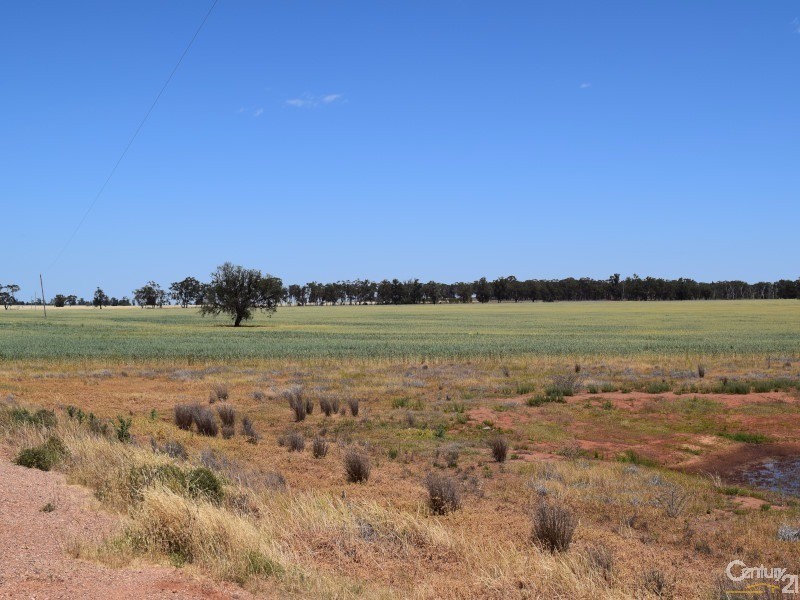 3099 “Glenwarrie” The Tullamore / Narromine Road, Peak Hill NSW 2869