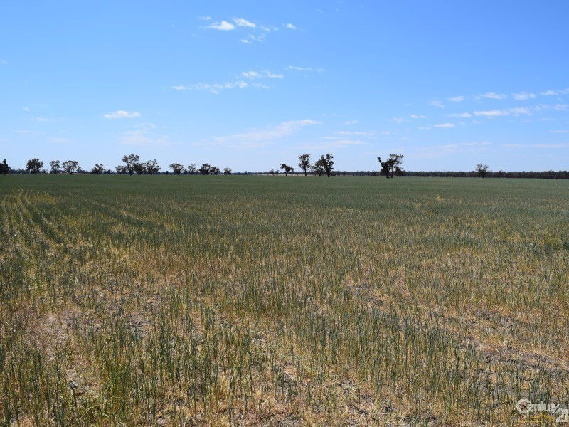 3099 “Glenwarrie” The Tullamore / Narromine Road, Peak Hill NSW 2869