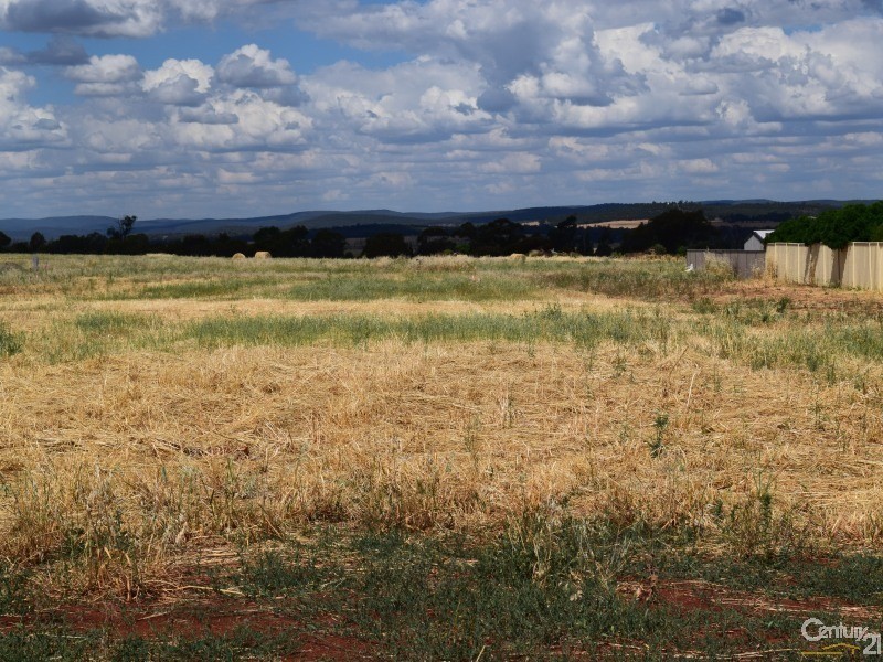 Lot 14 Danilenko Street, Parkes NSW 2870