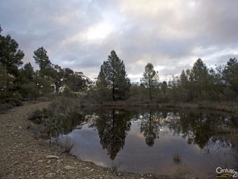 78a Shallow Lead Road, Parkes NSW 2870