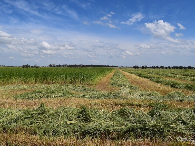 3166 Rockvale 3166 Back Trundle Road, Parkes NSW 2870