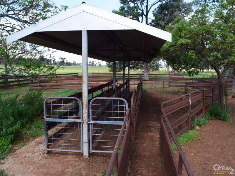 3166 Rockvale 3166 Back Trundle Road, Parkes NSW 2870