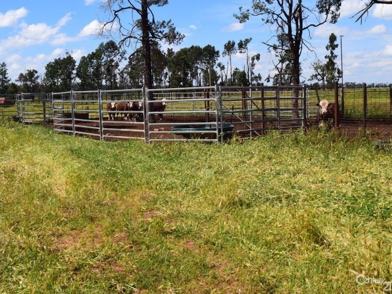 3166 Rockvale 3166 Back Trundle Road, Parkes NSW 2870