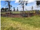 3166 Rockvale 3166 Back Trundle Road, Parkes NSW 2870