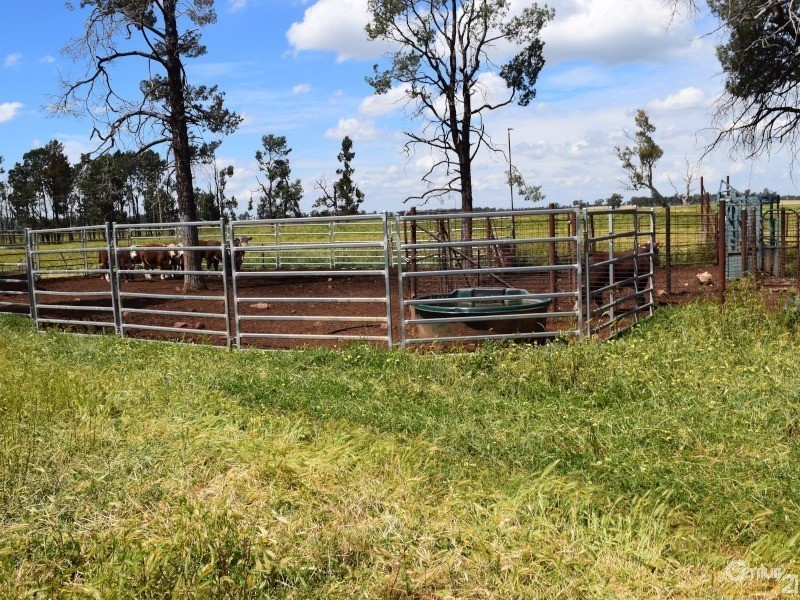 3166 Rockvale 3166 Back Trundle Road, Parkes NSW 2870