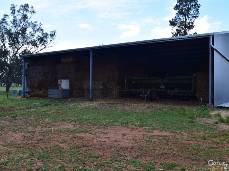 3166 Rockvale 3166 Back Trundle Road, Parkes NSW 2870