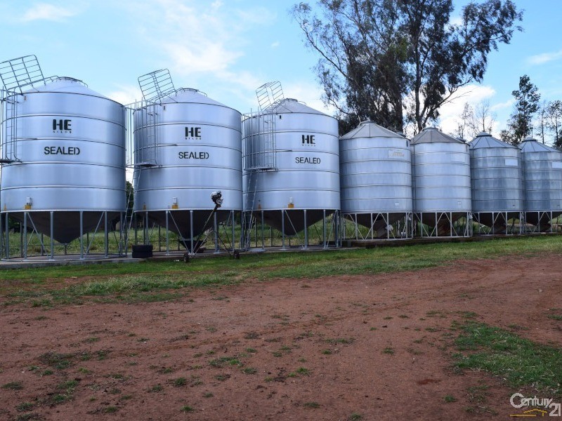 3166 Rockvale 3166 Back Trundle Road, Parkes NSW 2870