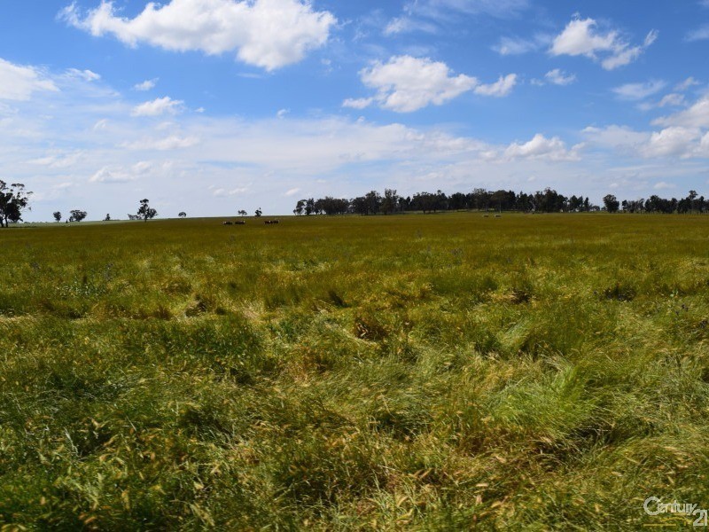 3166 Rockvale 3166 Back Trundle Road, Parkes NSW 2870