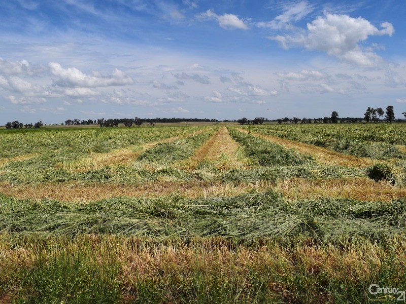 3166 Rockvale 3166 Back Trundle Road, Parkes NSW 2870