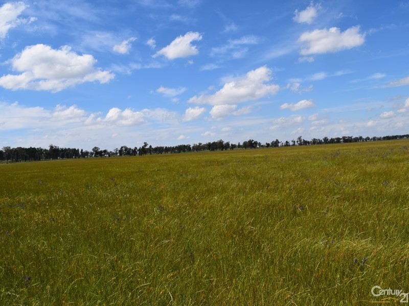 3166 Rockvale 3166 Back Trundle Road, Parkes NSW 2870