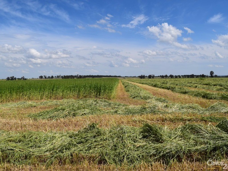 3166 Rockvale 3166 Back Trundle Road, Parkes NSW 2870