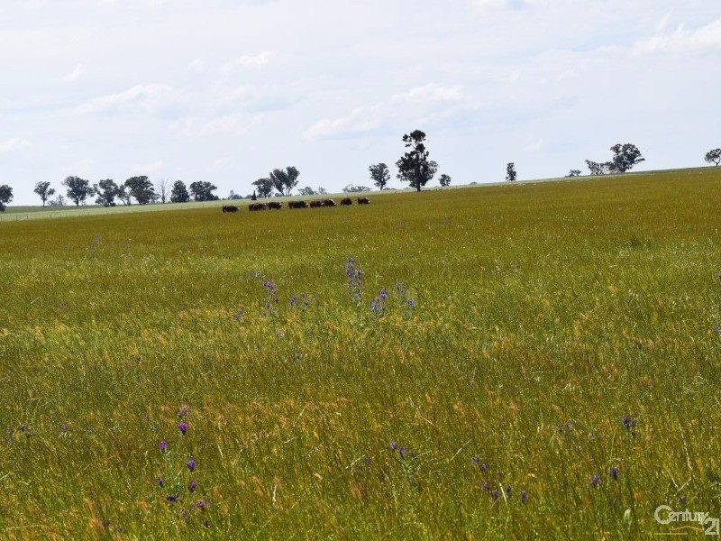 3166 Rockvale 3166 Back Trundle Road, Parkes NSW 2870