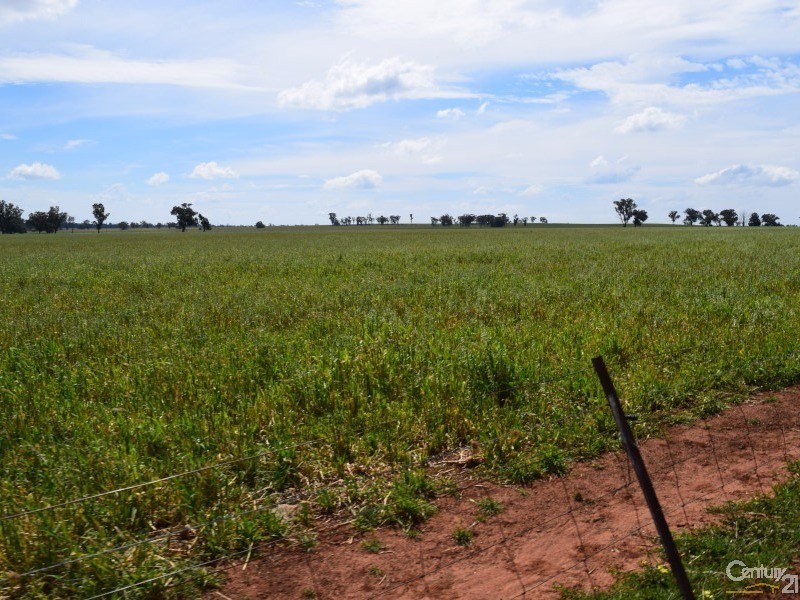 3166 Rockvale 3166 Back Trundle Road, Parkes NSW 2870