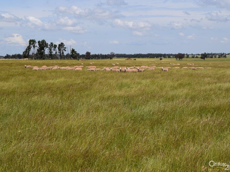 3166 Rockvale 3166 Back Trundle Road, Parkes NSW 2870