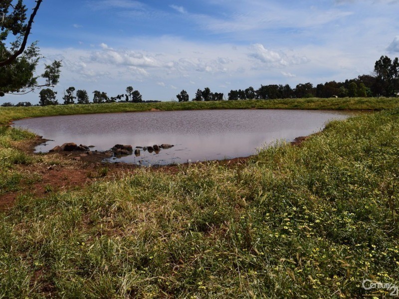 3166 Rockvale 3166 Back Trundle Road, Parkes NSW 2870