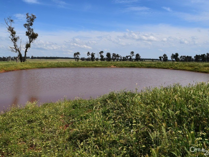 3166 Rockvale 3166 Back Trundle Road, Parkes NSW 2870