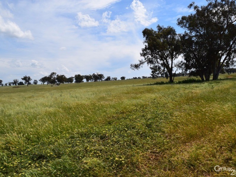 3166 Rockvale 3166 Back Trundle Road, Parkes NSW 2870