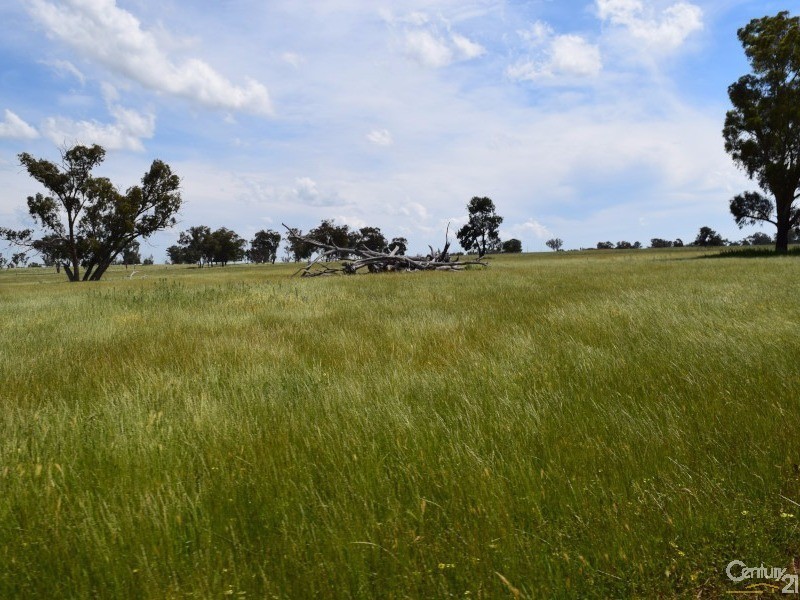 3166 Rockvale 3166 Back Trundle Road, Parkes NSW 2870