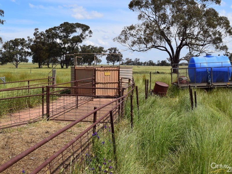 3166 Rockvale 3166 Back Trundle Road, Parkes NSW 2870