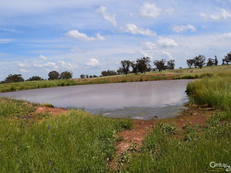 3166 Rockvale 3166 Back Trundle Road, Parkes NSW 2870