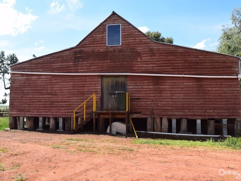 3166 Rockvale 3166 Back Trundle Road, Parkes NSW 2870