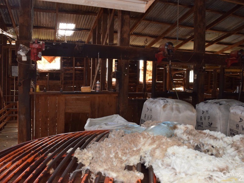 3166 Rockvale 3166 Back Trundle Road, Parkes NSW 2870