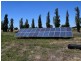 2271 Newell Highway, Tichborne NSW 2870