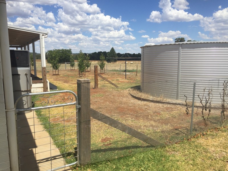 189 Tanks Lane, Parkes NSW 2870