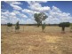 189 Tanks Lane, Parkes NSW 2870