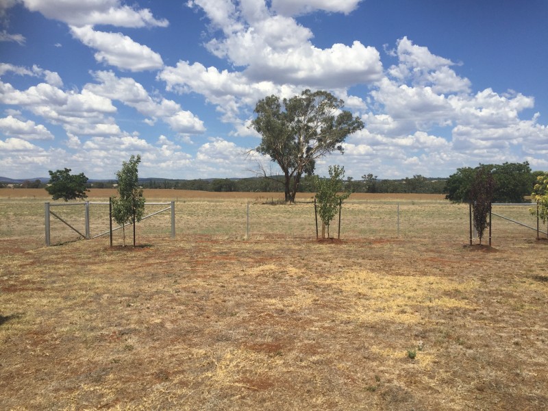 189 Tanks Lane, Parkes NSW 2870